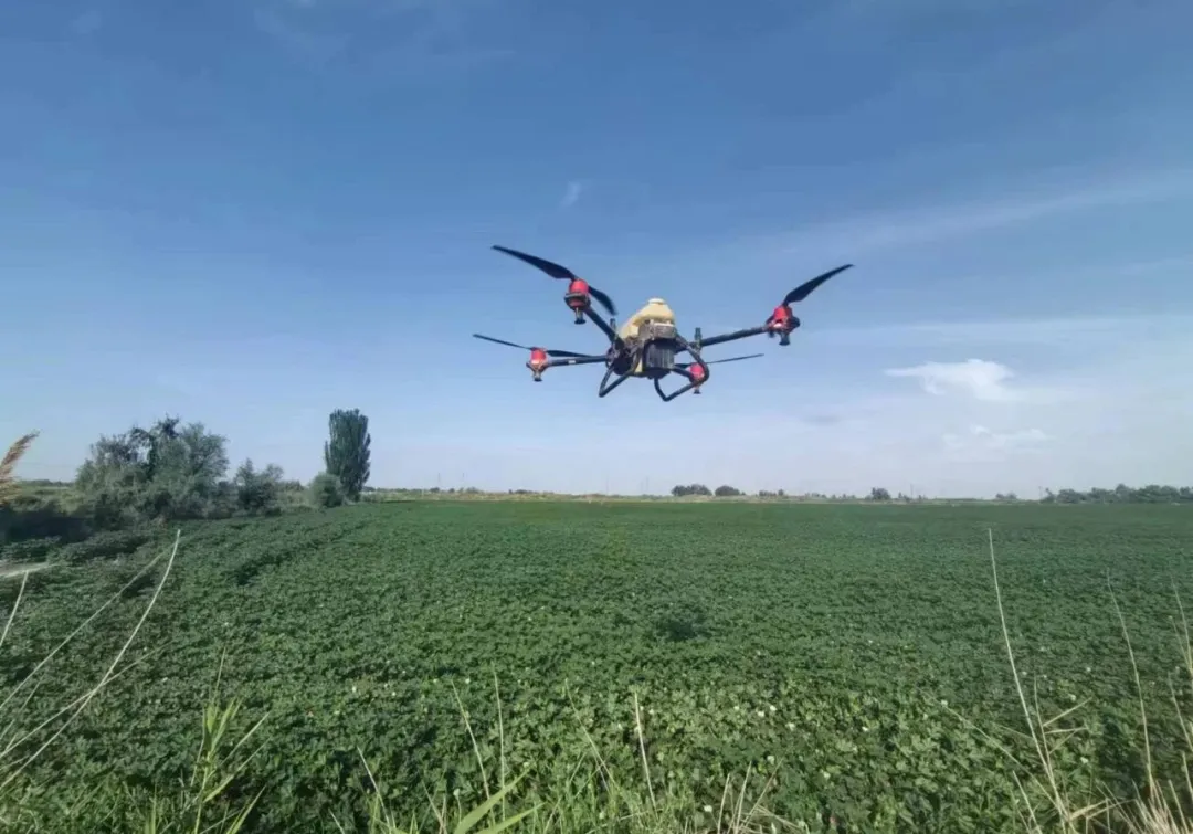 Application of HEXI 521 in Drone-Based Cotton Insecticide Spraying