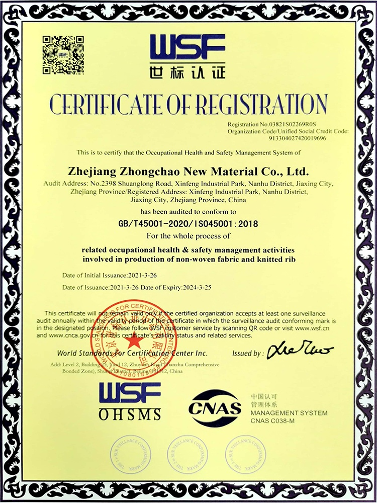 ISO 45001:2018 Occupational Health and Safety Management System