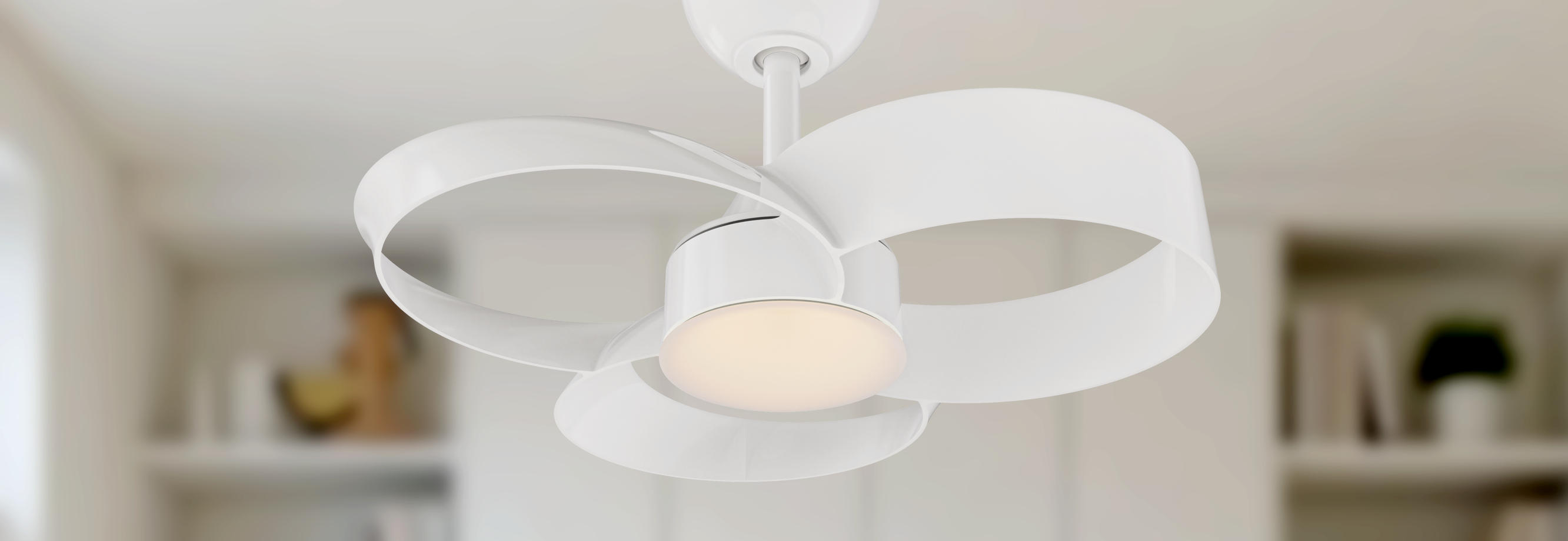 Comfort Meets Modern Design