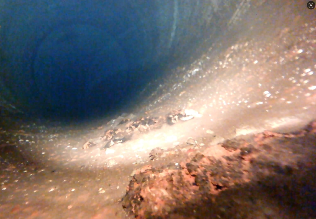 Case 6 Image 3