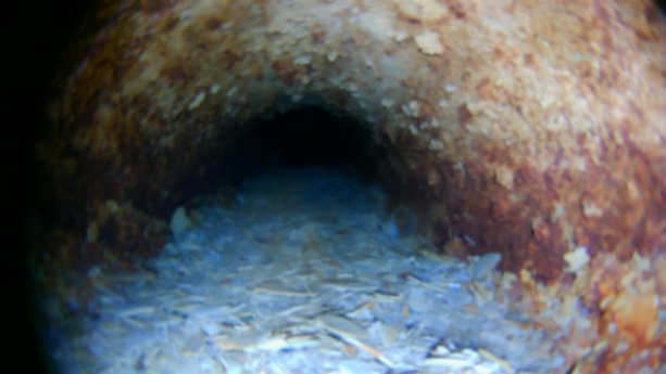 Case 1 Image 5