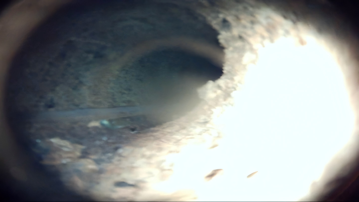 Case 3 Image 4
