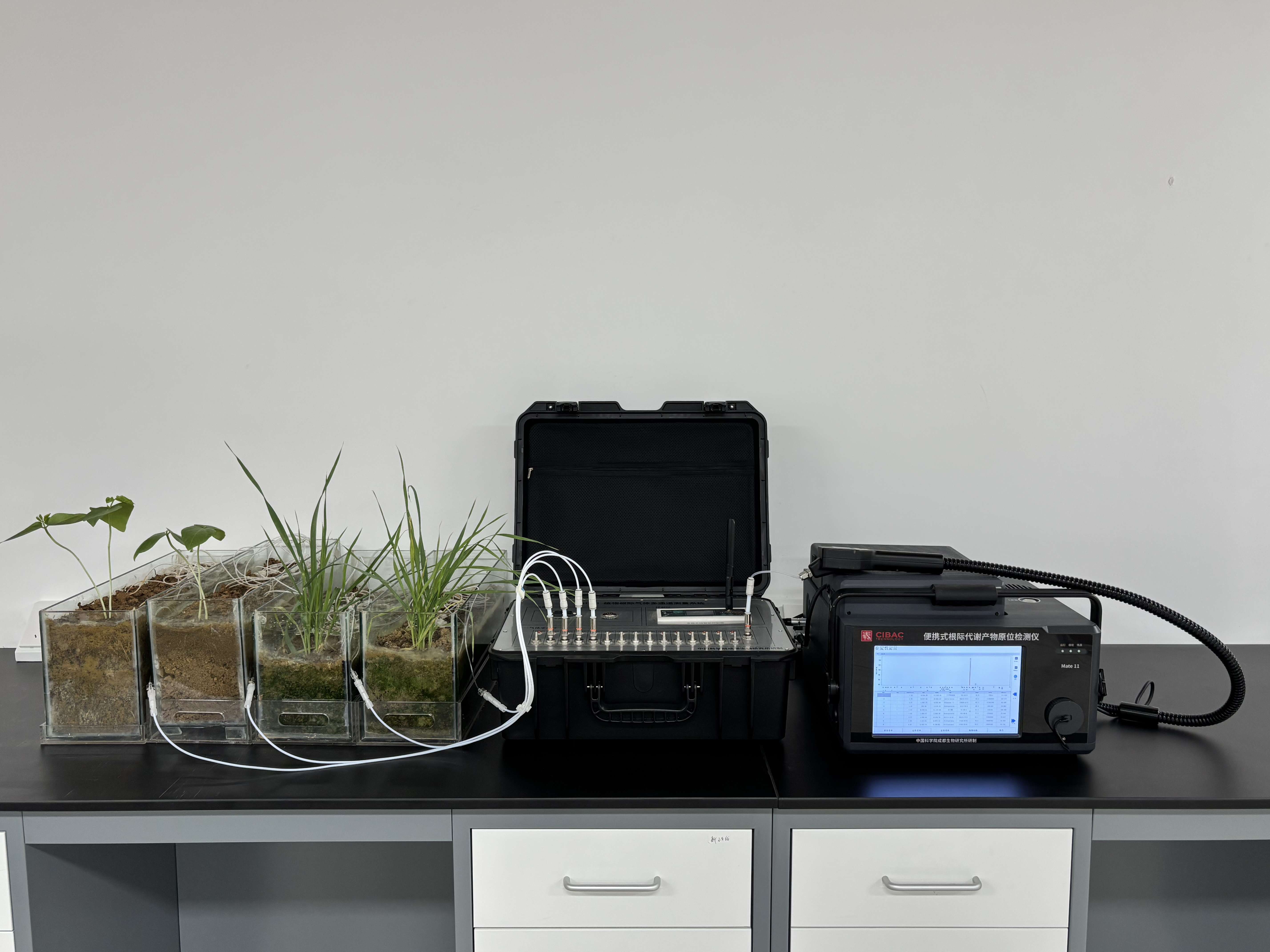 多通道植物根际挥发性代谢产物监测系统