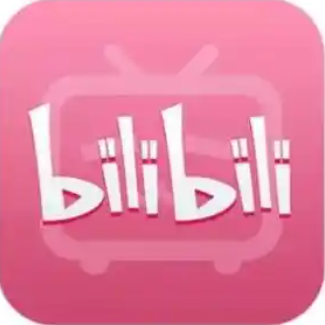 B 站