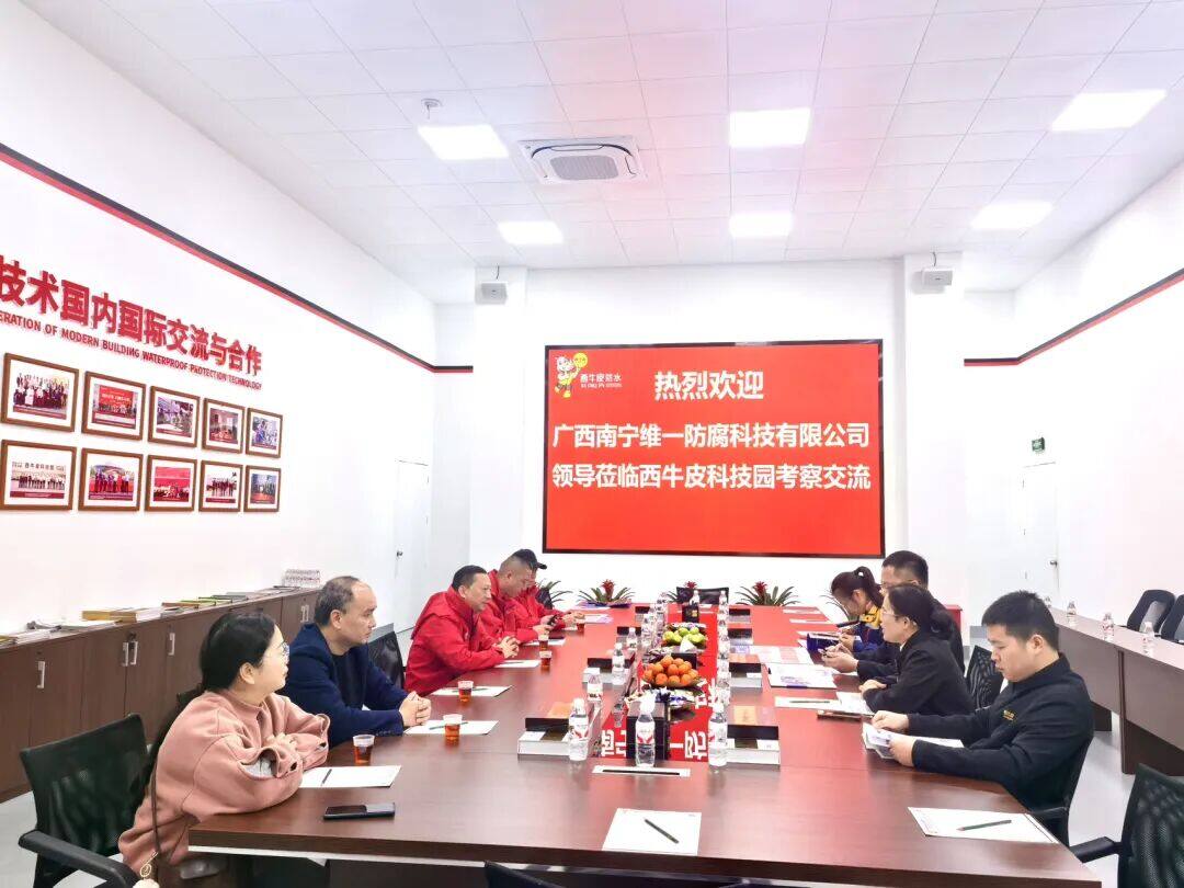 维一科技 & 西牛皮 首次重磅交流