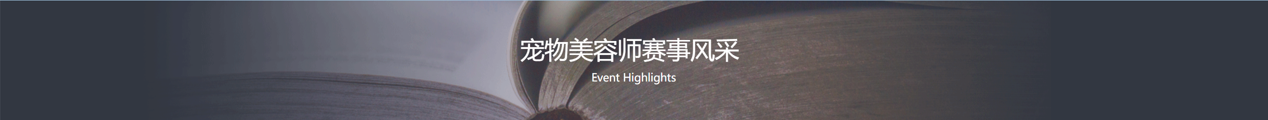 宠物美容师赛事风采 Event Highlights
