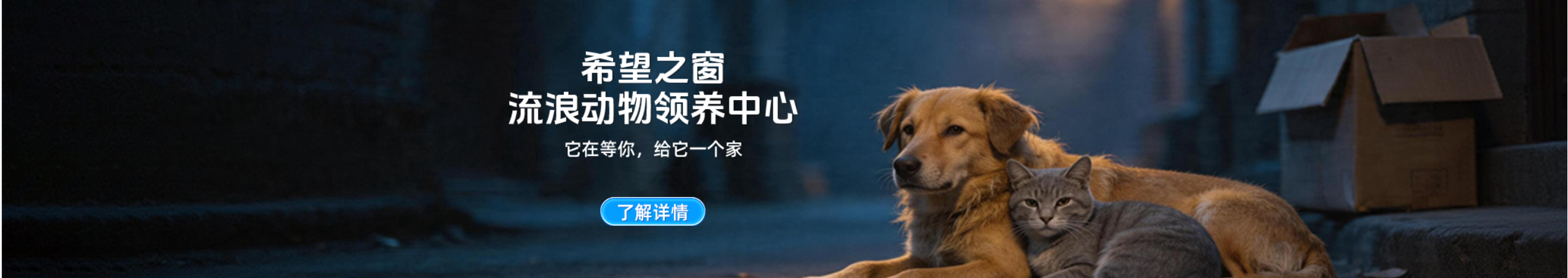 希望之窗 流浪动物领养中心 它在等你,给它一个家