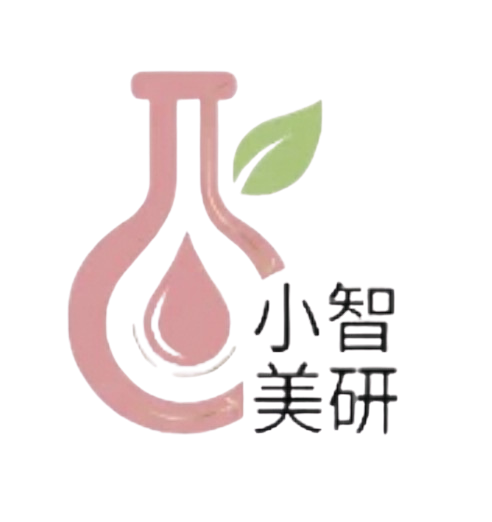 小智美研 Logo