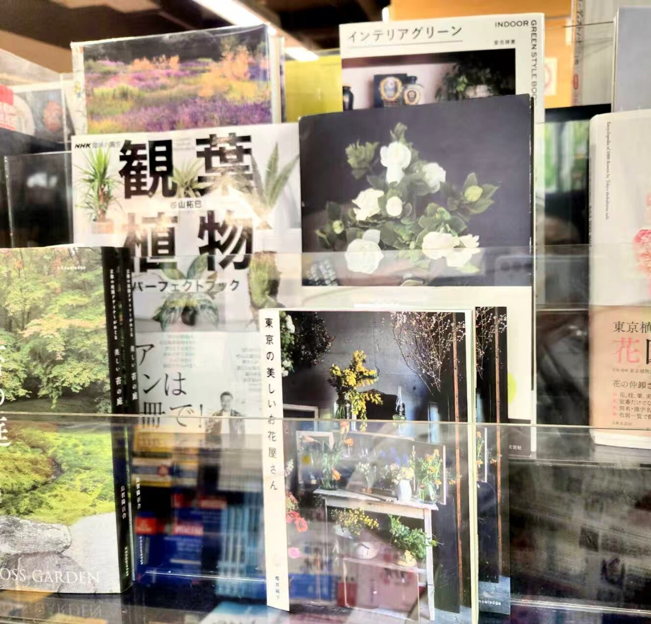 艺术出版项目