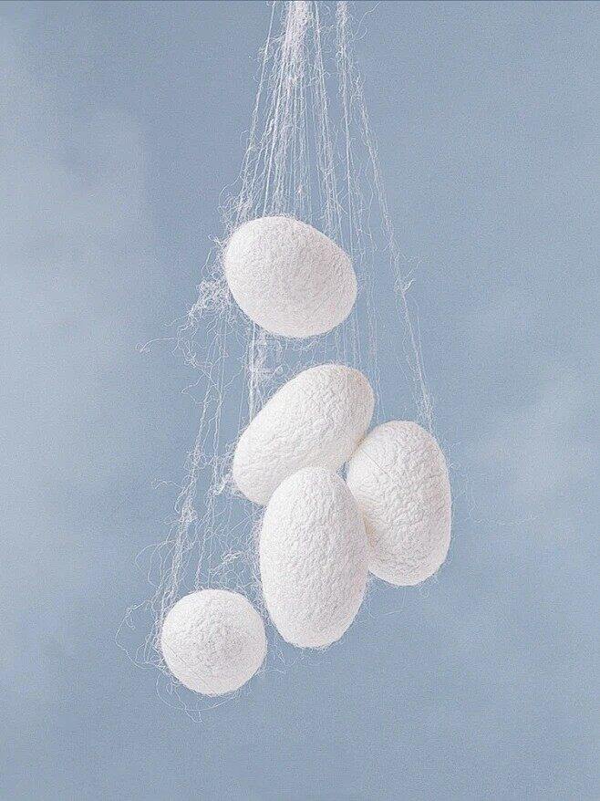 桑蚕丝