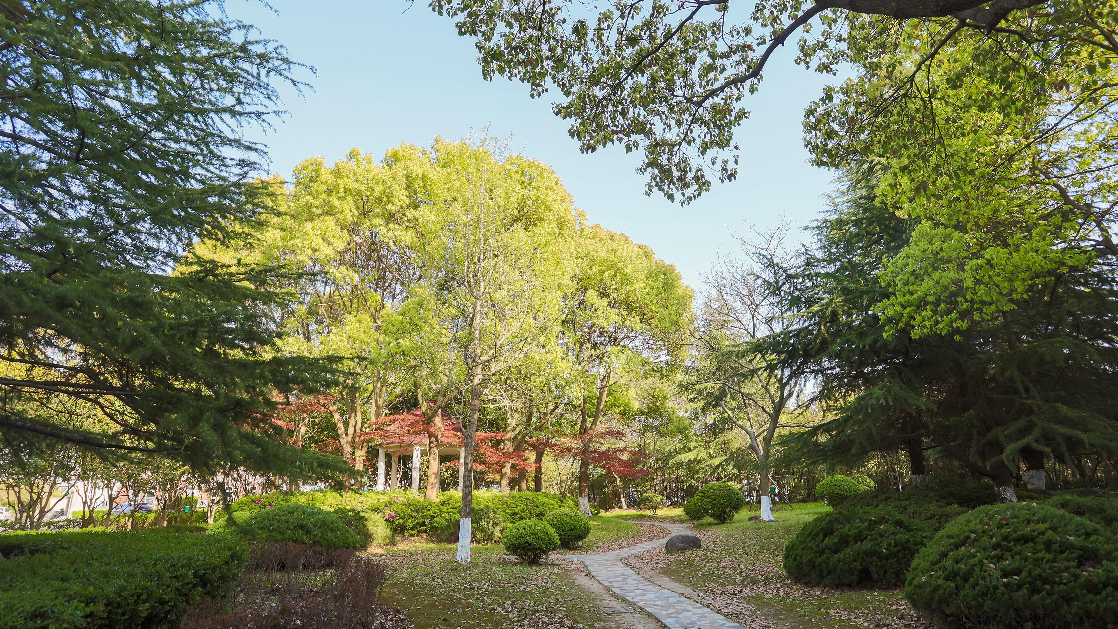 Campus Scenery