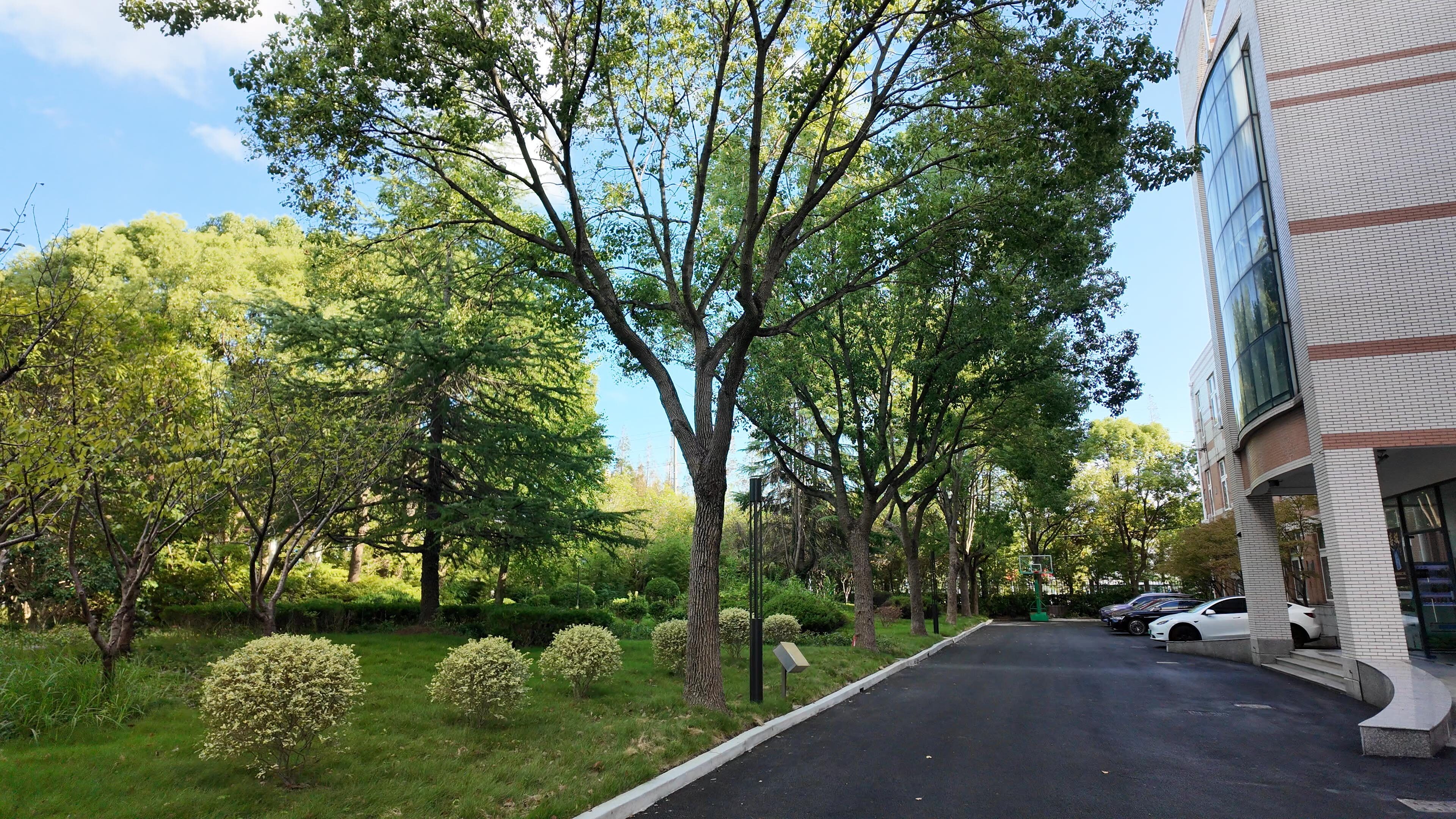 Campus Scenery