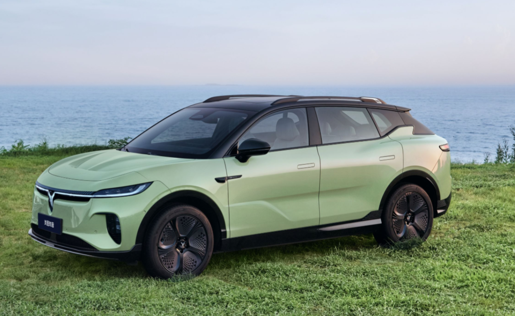 VOYAH ZHIYIN EV SUV New Electric Vehicle