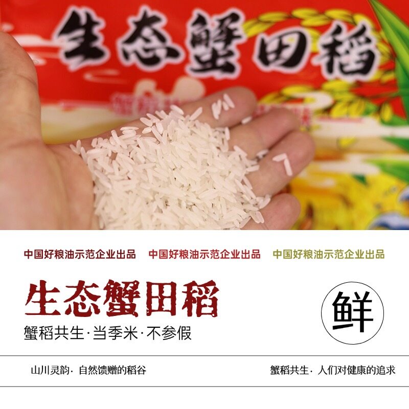 生态蟹田稻