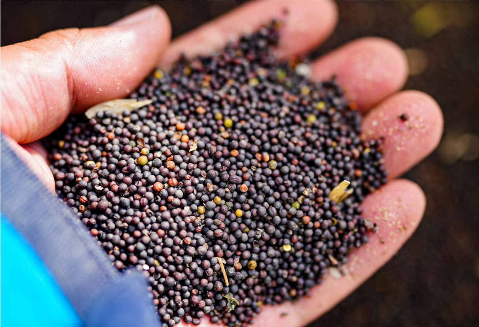 生产加工