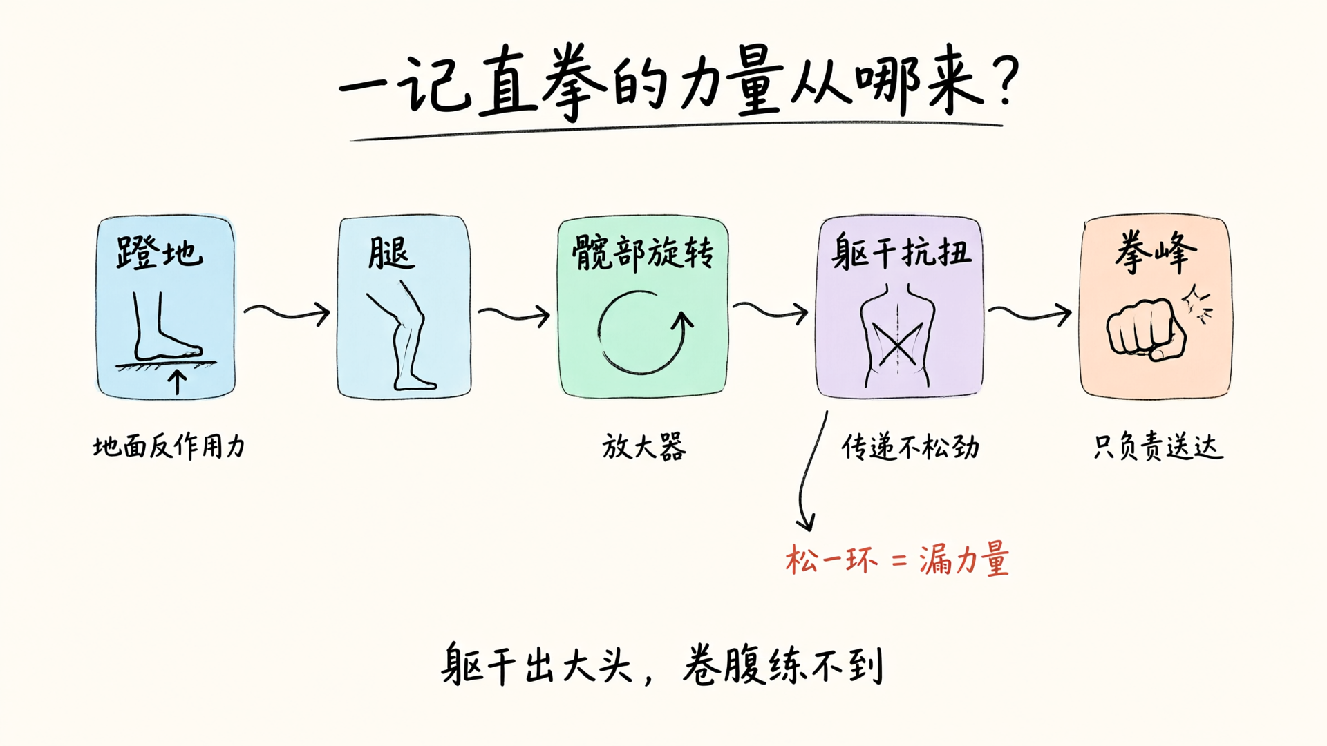 力量传导链图解：蹬地→腿→髋部旋转→躯干抗扭→拳峰