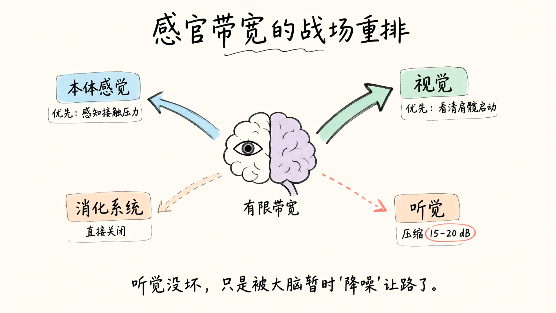 感官带宽的战场重排：大脑把处理资源让给视觉与本体感觉，听觉被压缩 15-20 分贝