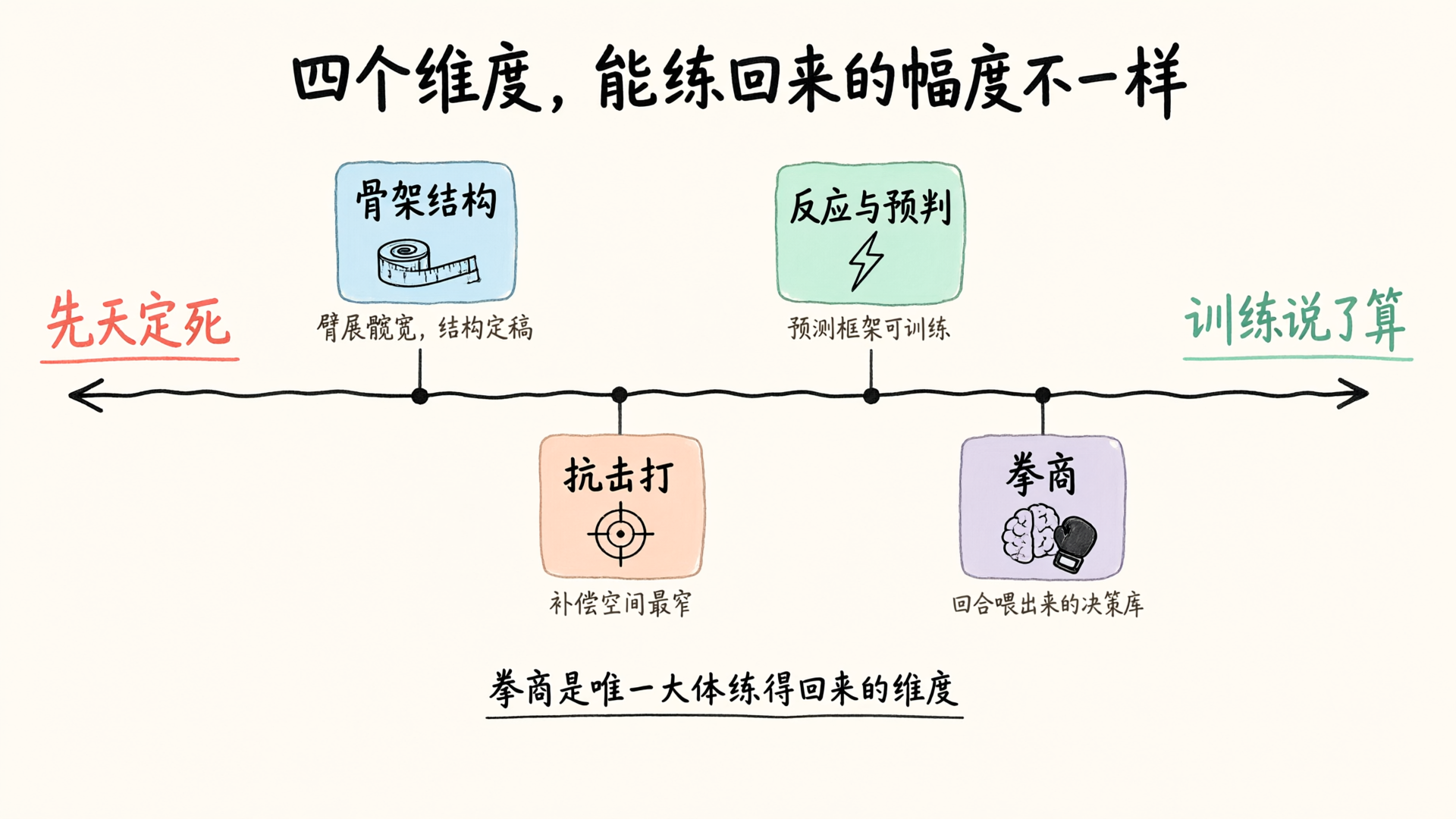 四个维度的训练可改写幅度光谱：从先天定死到训练说了算