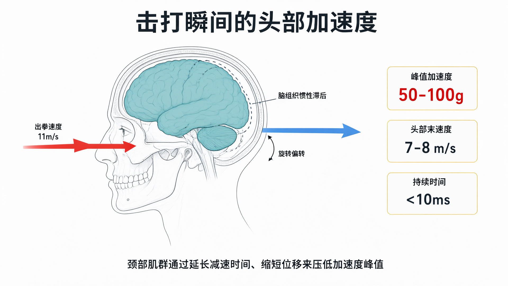 MMA选手的"脖子"为什么那么粗？颈部训练的重要性被严重低估了