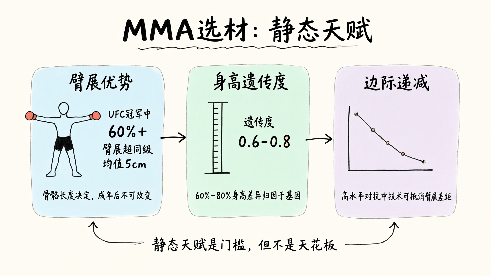 MMA选材的基因账本：臂展、身高与快肌纤维，哪些真正不可改写
