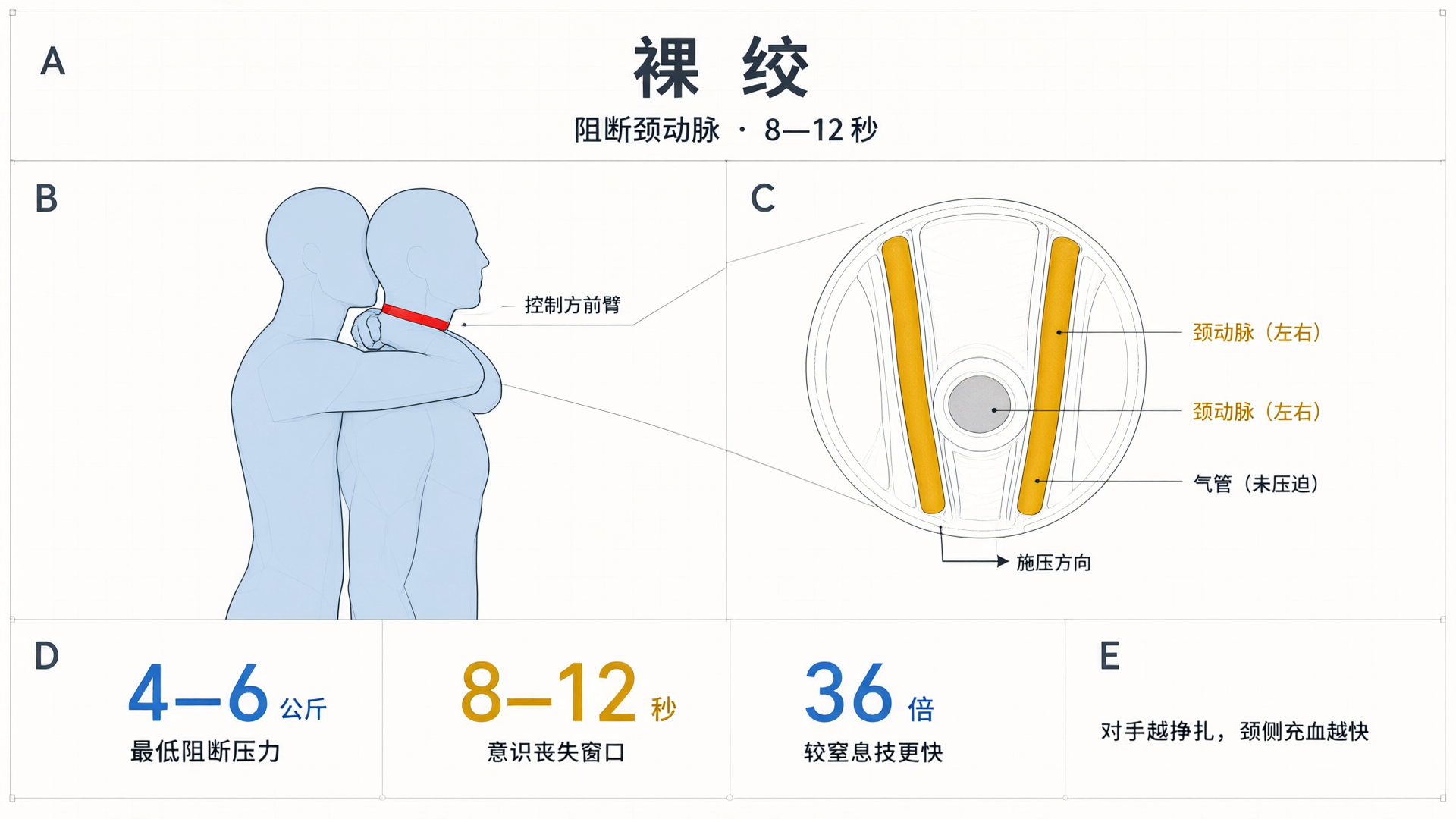 裸绞颈动脉压强示意：最低 4—6 公斤压力即可在 8—12 秒内阻断供血，绕过气管