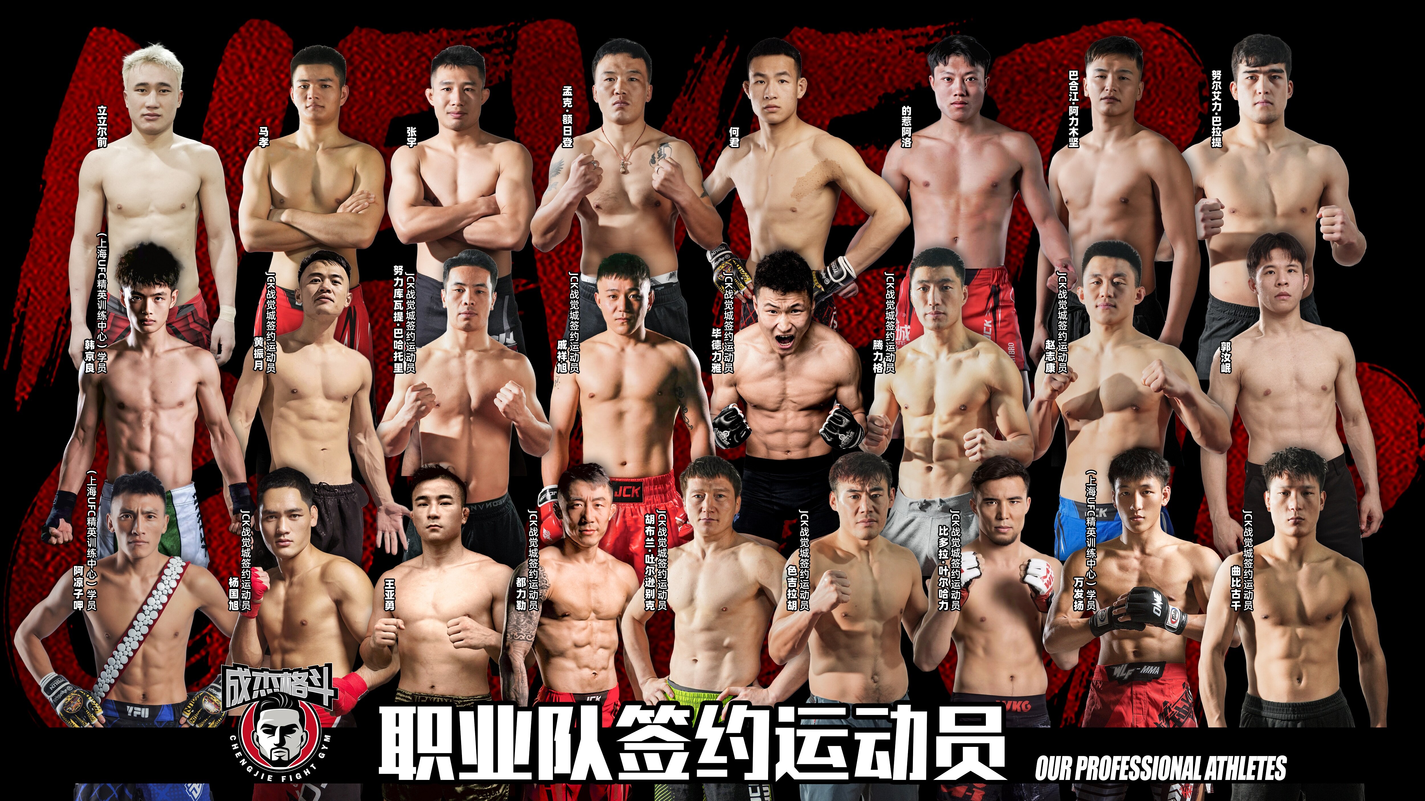 MMA职业训练