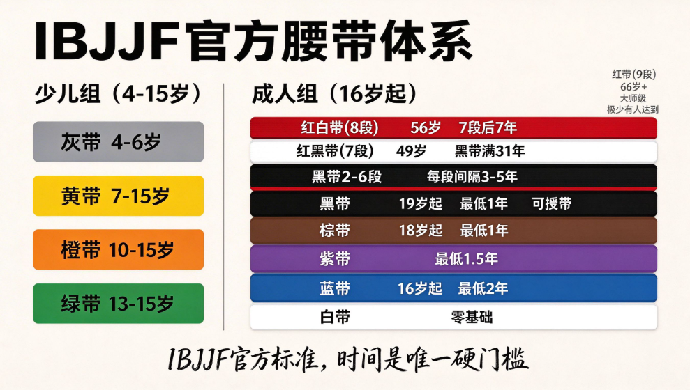 巴西柔术的腰带等级制度详解：从白带到黑带需要多少年？