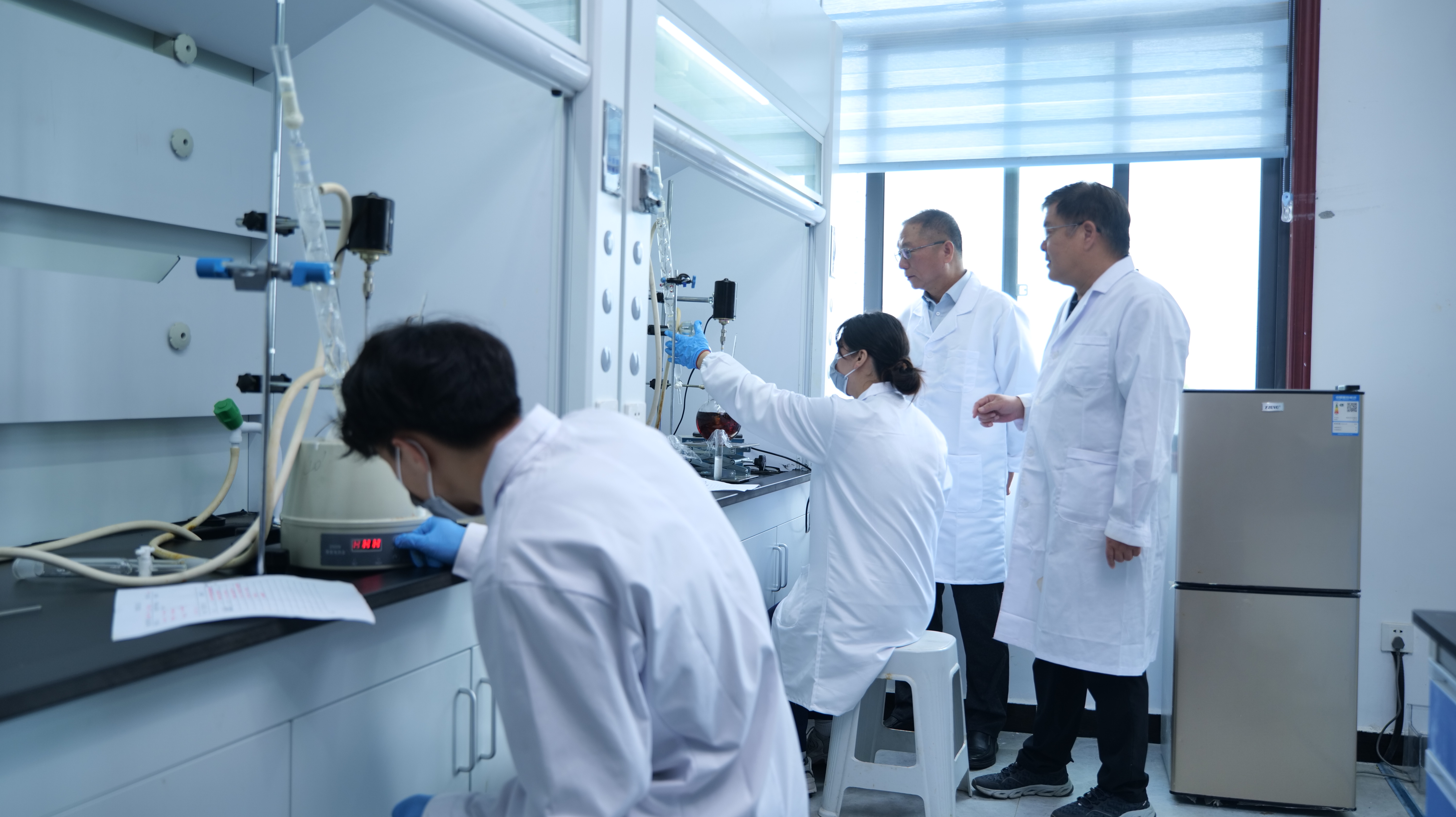 Laboratory Team at Work