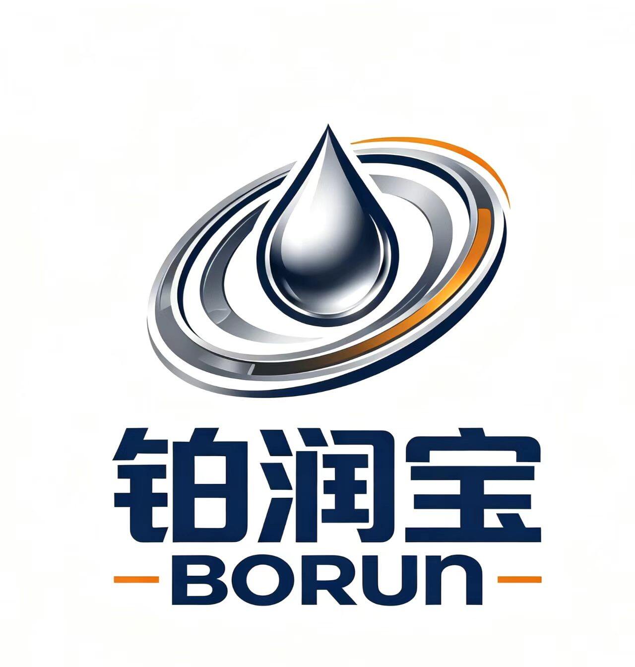铂润宝 BORUN Logo