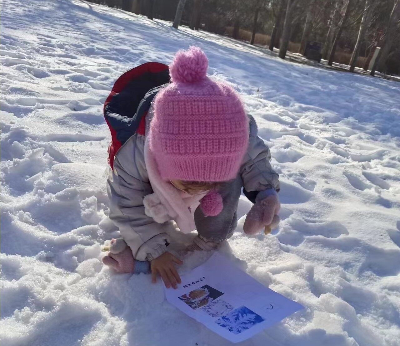 冰雪主题的生态课