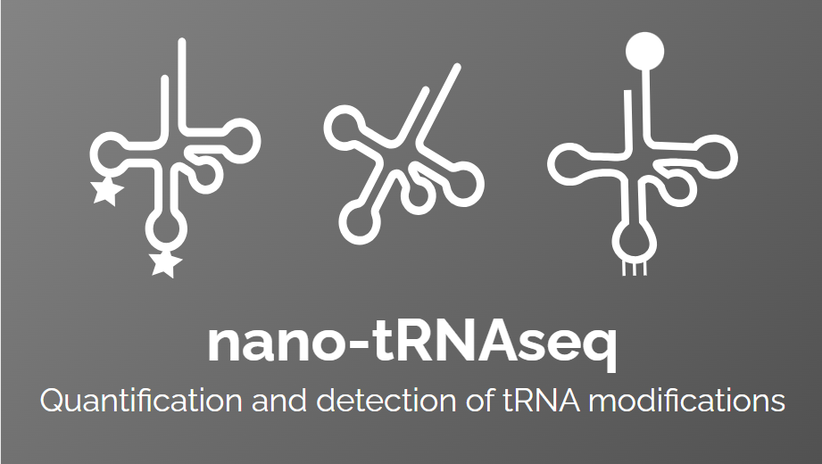 东莞汉诺生物提供nano tRNA测序服务