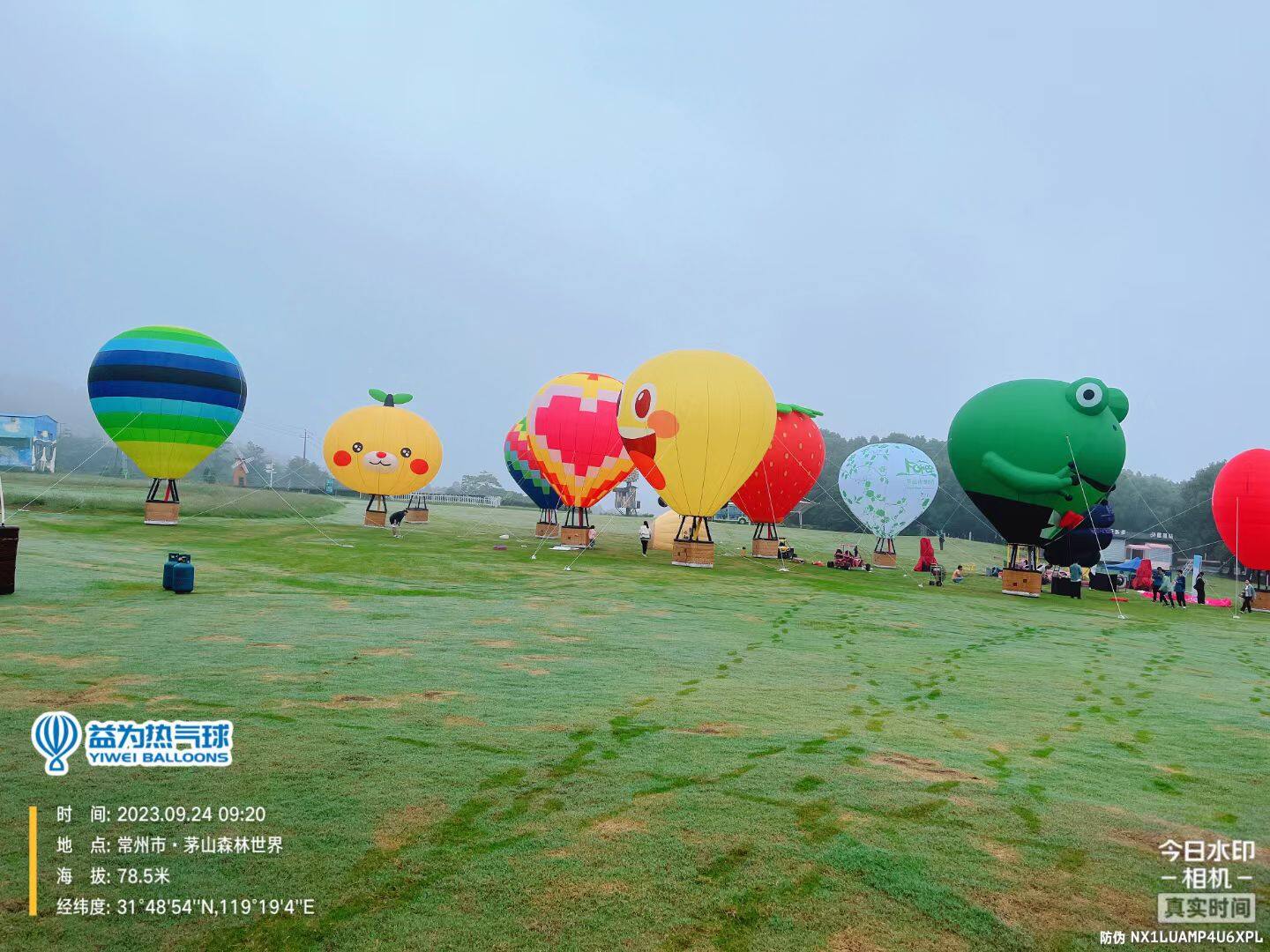 Multi-Style Hot Air Balloon Display – Balloon Model Accessories