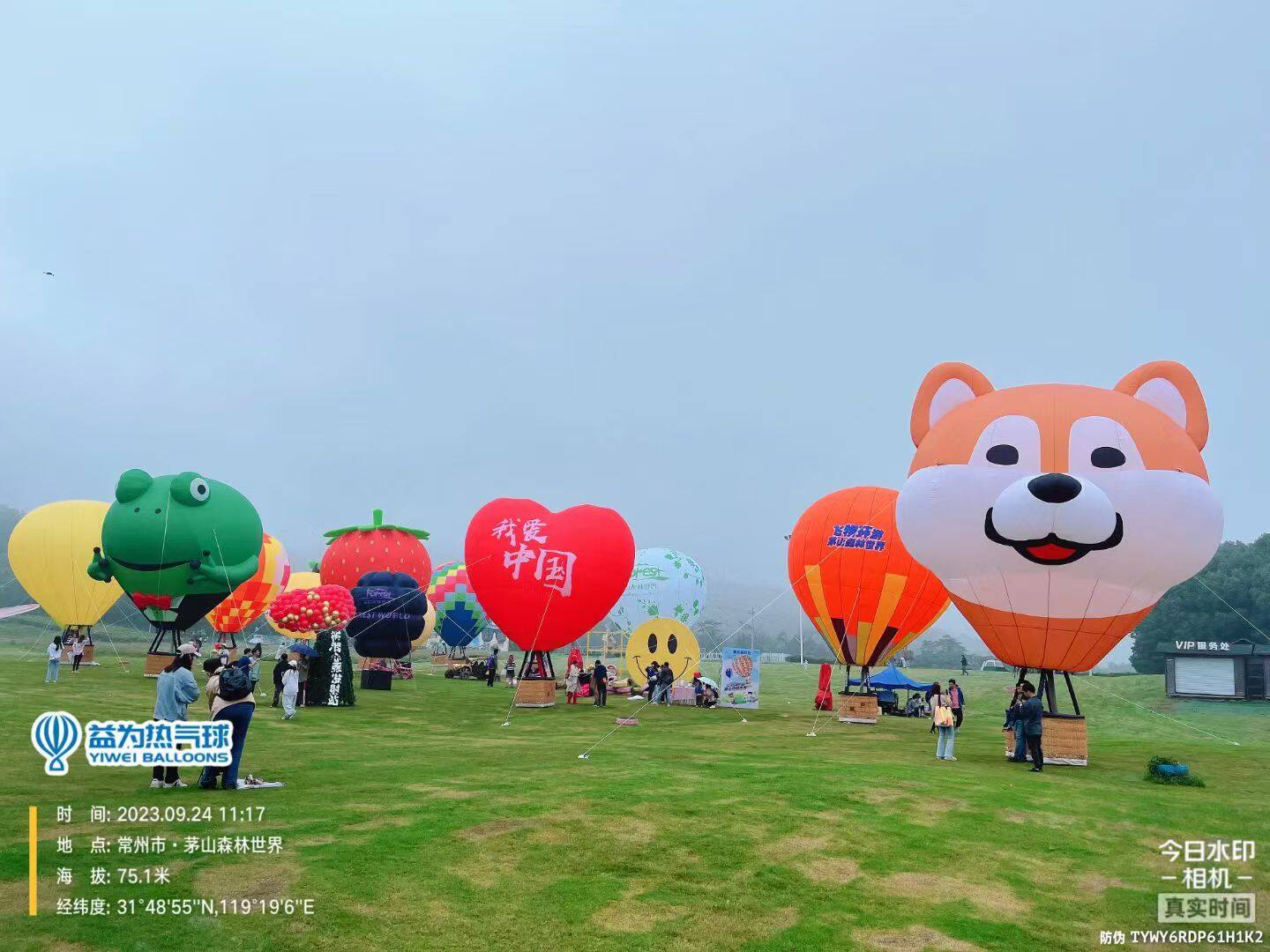 Mao Shan Forest World Cartoon Helium Balloon Display – Full collection featuring Shiba Inu, frog, strawberry, and "I Love China" designs. Ideal for scenic area events, themed celebrations, and outdoor displays. Custom designs available.