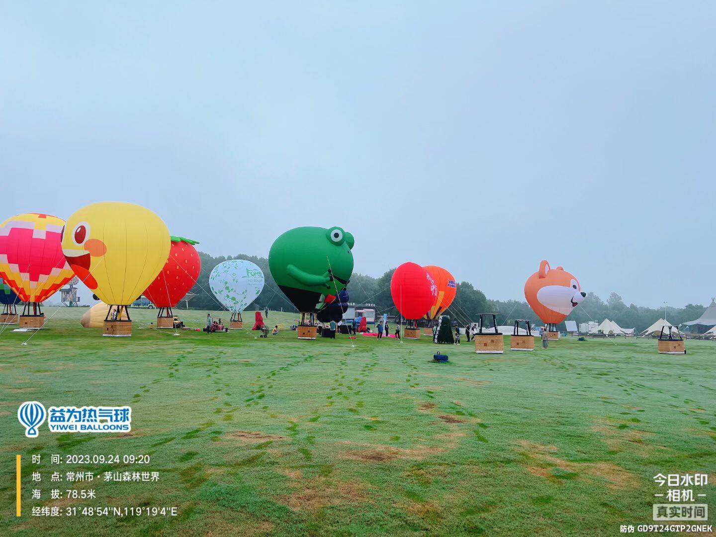Frog Hot Air Balloon - Balloon Model Accessories