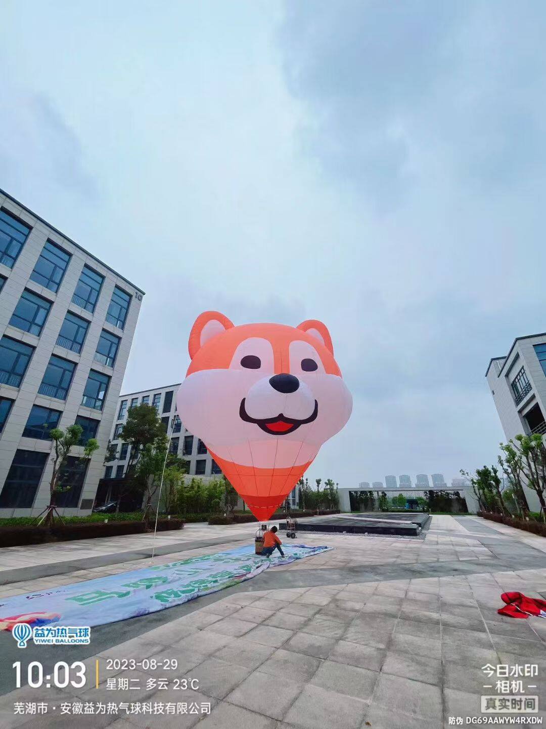 Shiba Inu Head Tethered Balloon Model – Adorable orange-and-white Shiba Inu head tethered balloon, perfect for commercial events, tourist attractions, and brand promotions. Customization available.
