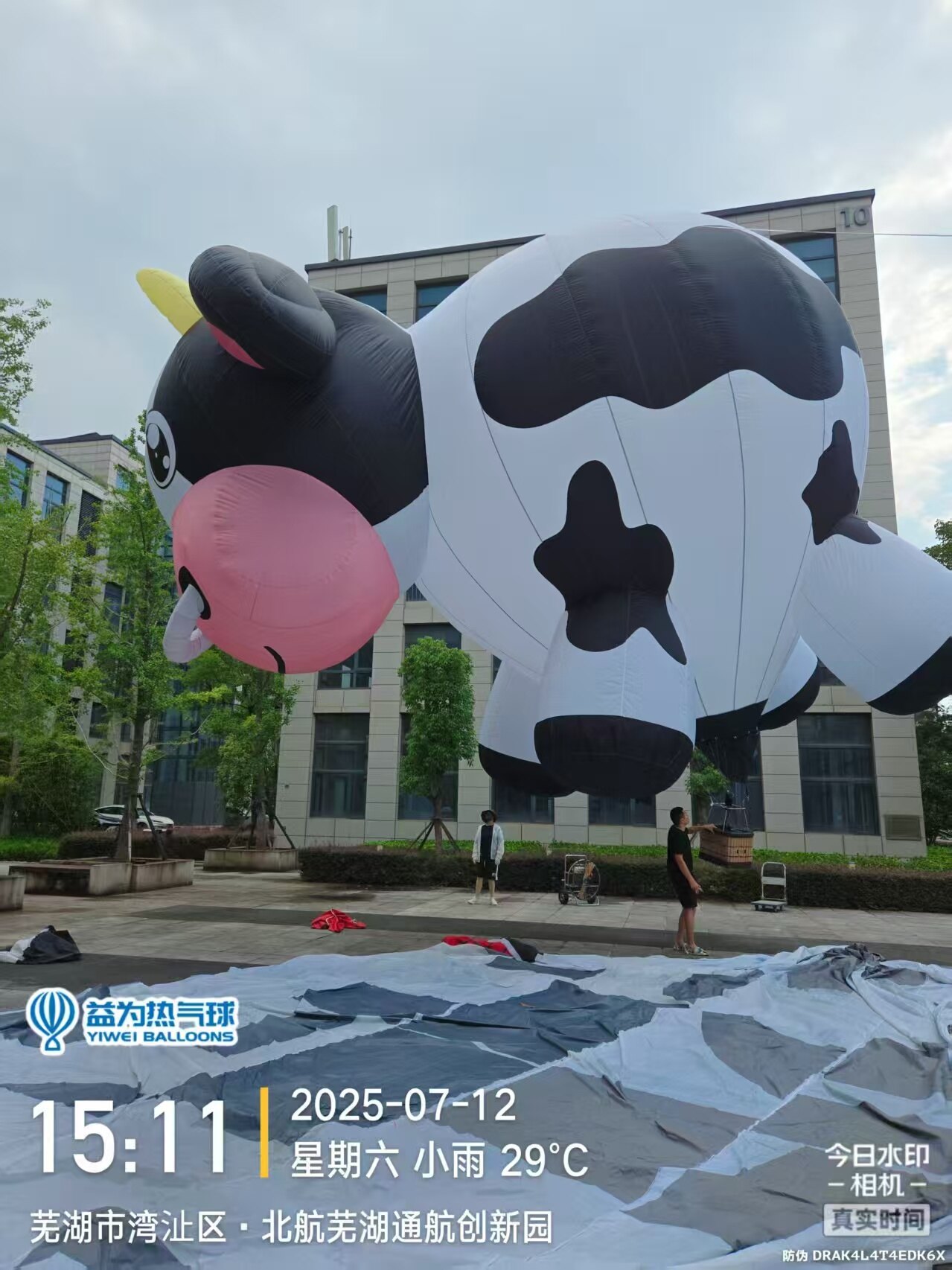Cow-Shaped Remote-Controlled Hot Air Balloon – Features realistic black-and-white cow patterns; ideal for dairy brand promotions, farm events, and scenic area displays.