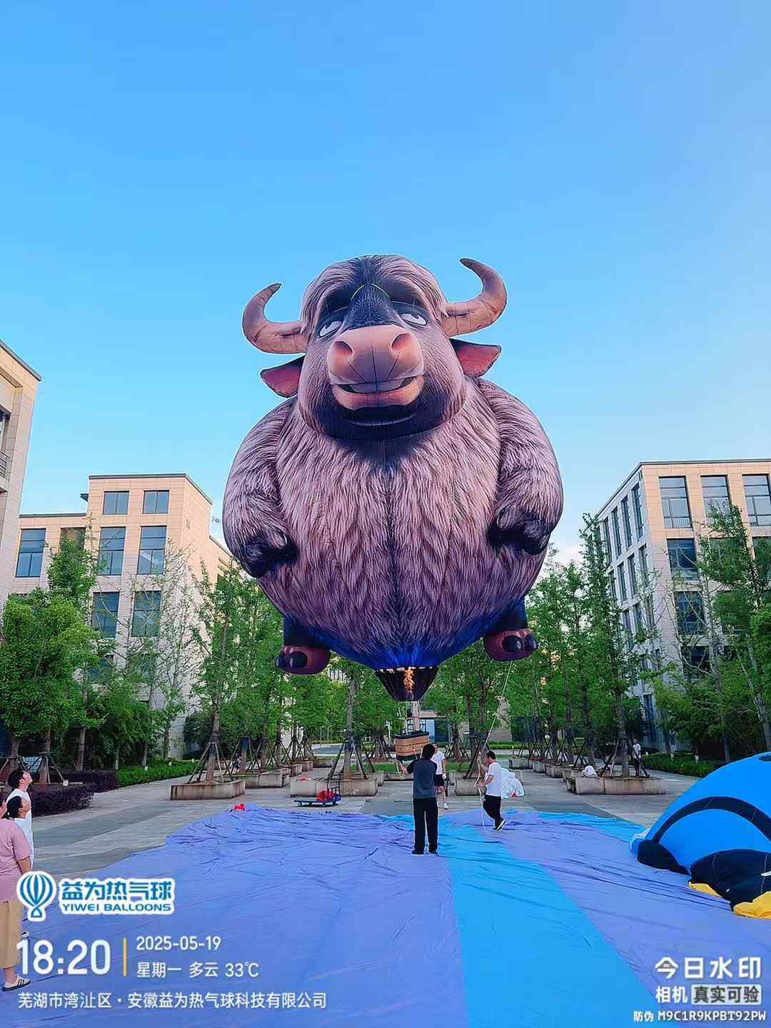 Brown Yak-Shaped Remote-Controlled Balloon – Realistic fur texture, ideal for scenic area events and brand promotions.