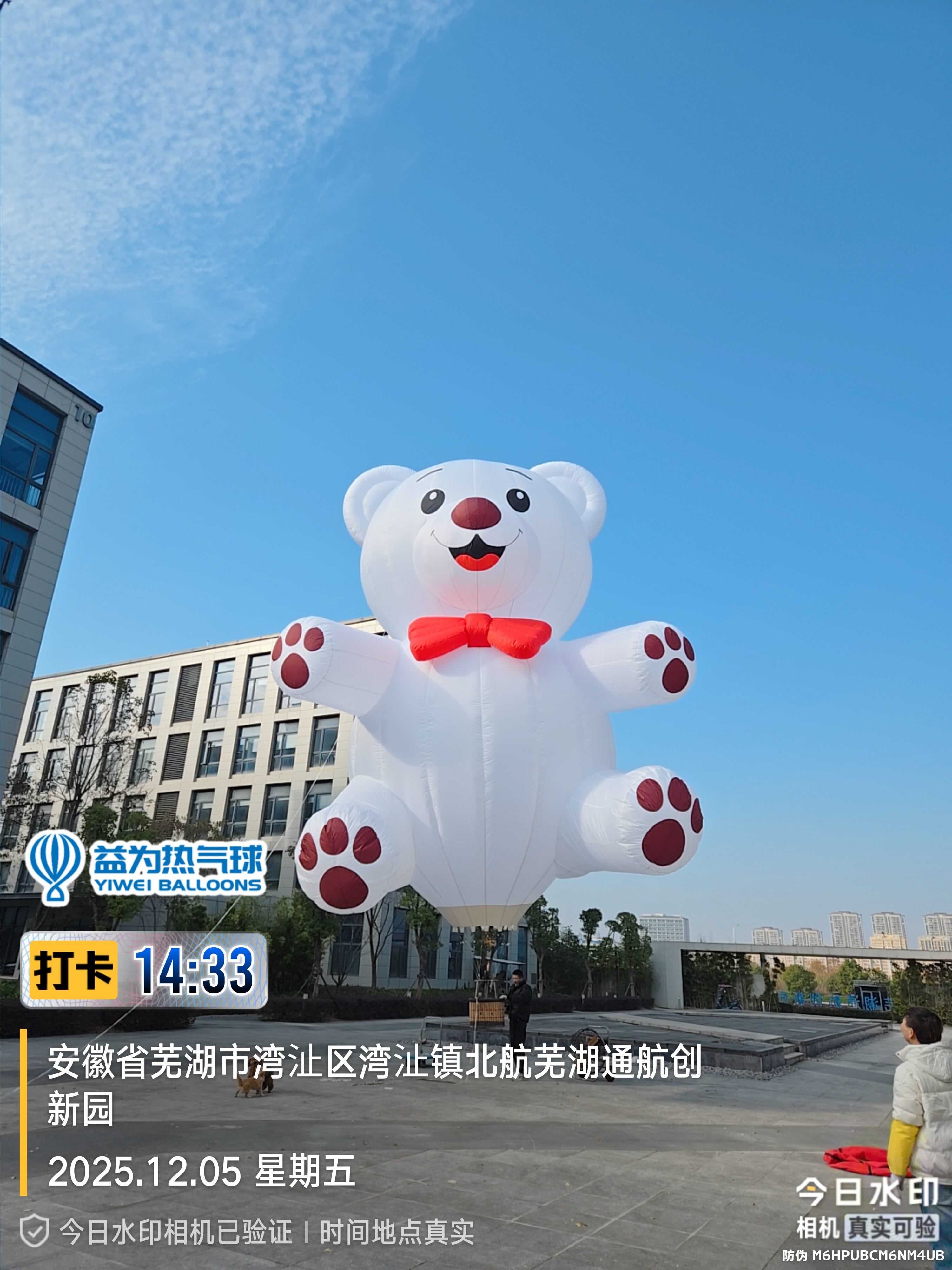Inflatable Hot Air Balloon Products