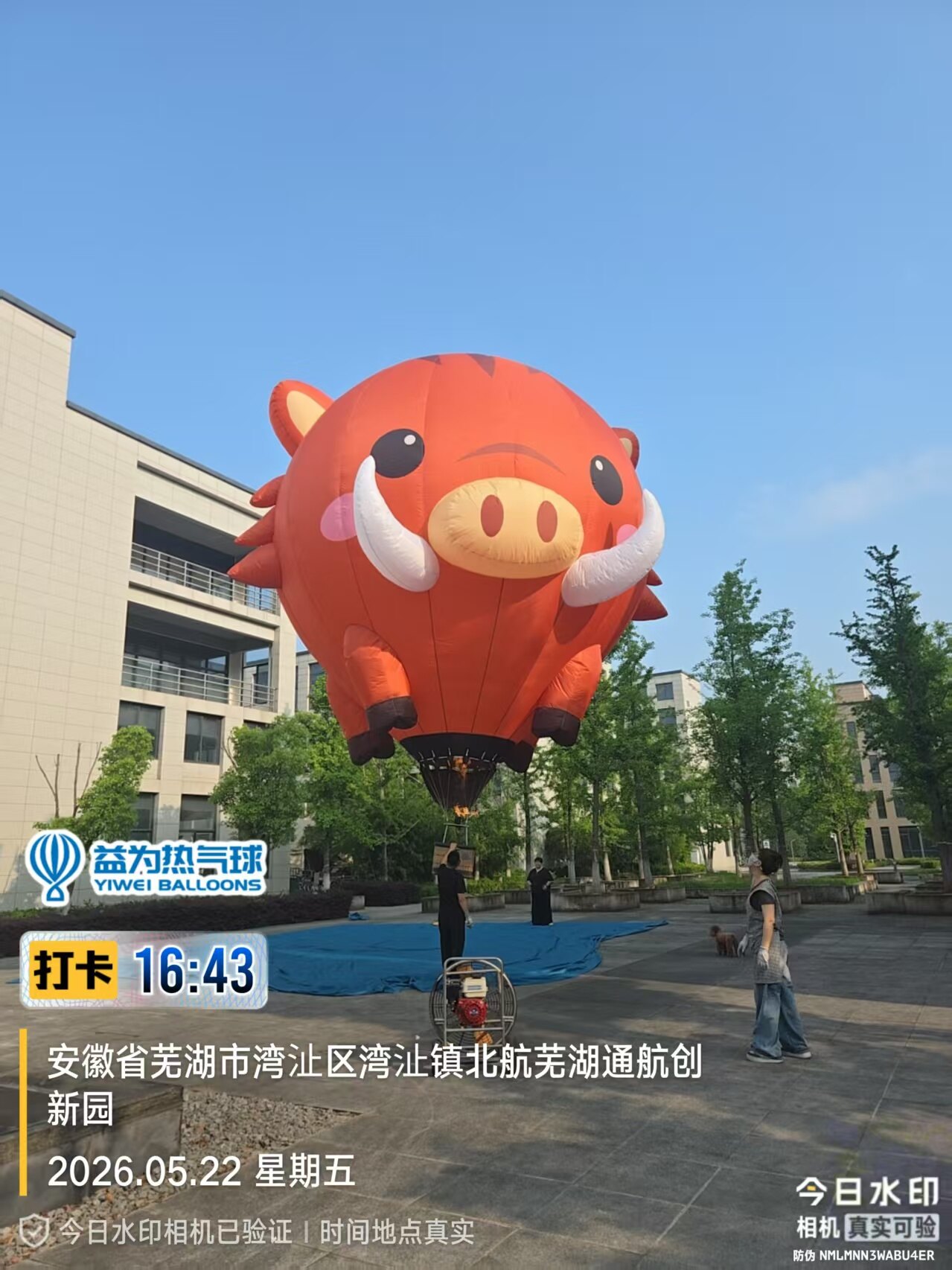 Boar-Shaped Ball - Remote-Controlled Hot Air Balloon Accessory