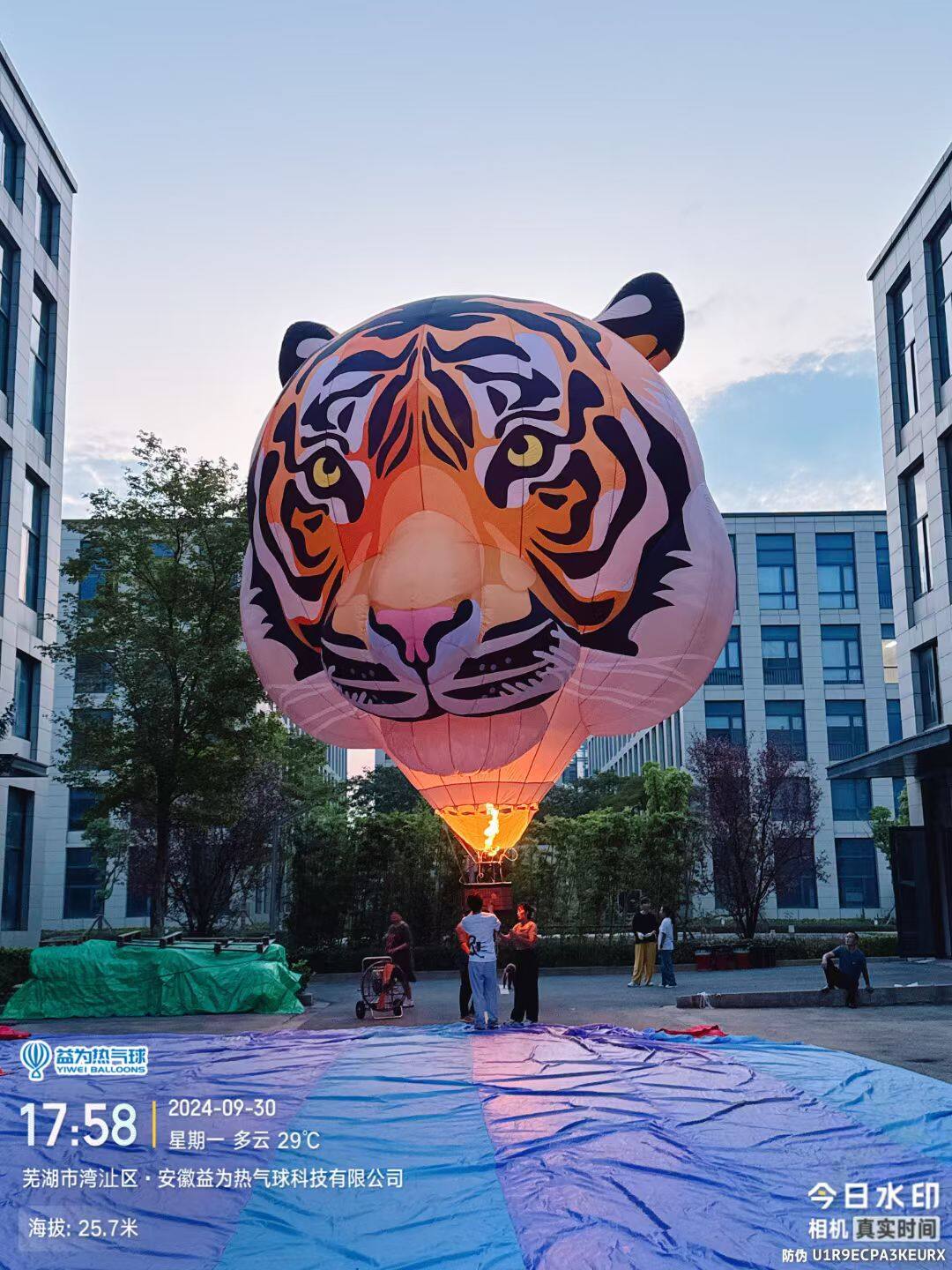 Tiger-Head Remote-Controlled Hot Air Balloon – Vibrant orange and black stripes in a realistic tiger-head design. Perfect for Year of the Tiger celebrations, scenic spot events, and brand promotion displays.