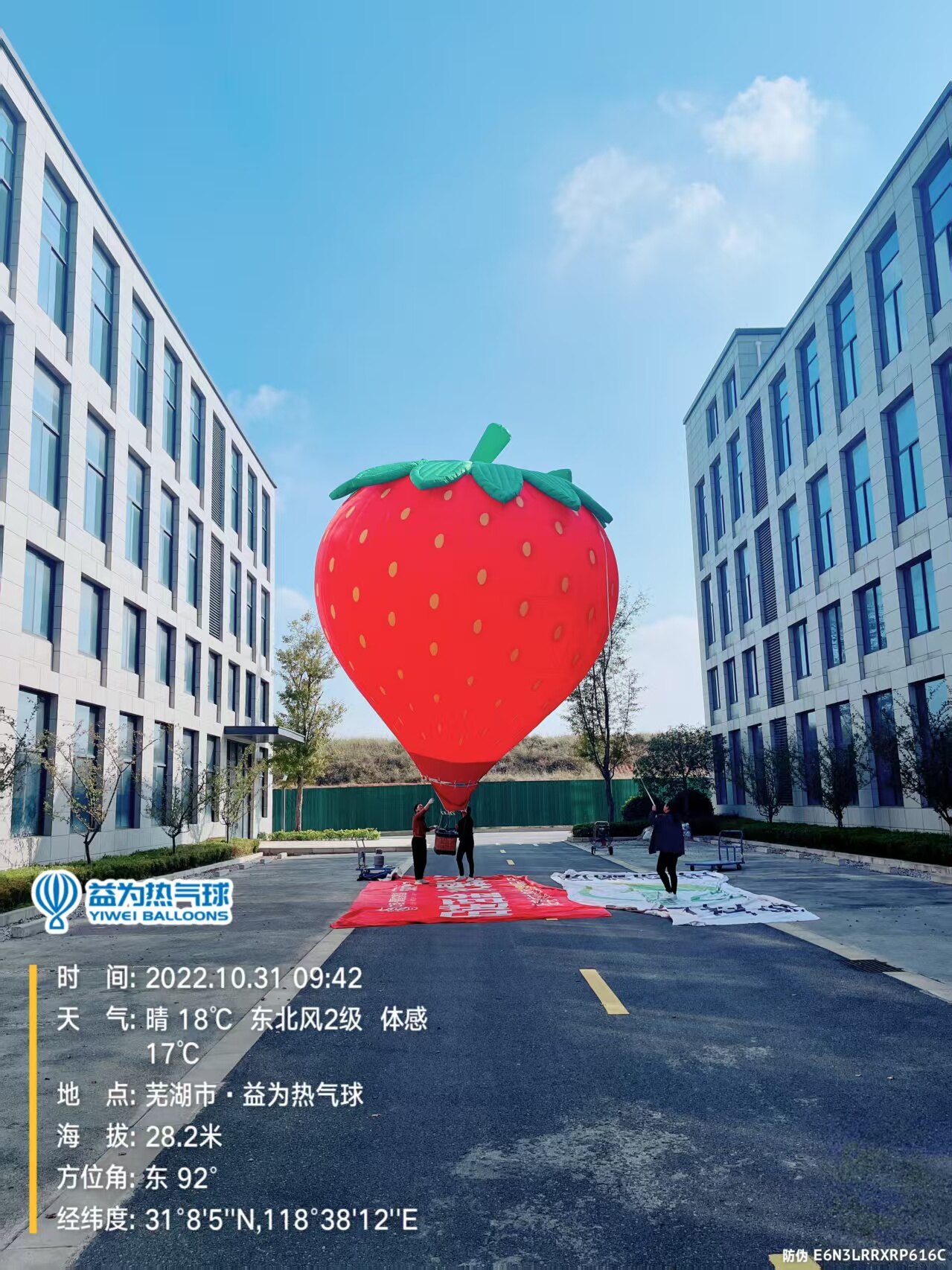 Strawberry-Shaped Remote-Controlled Hot Air Balloon – Vibrant red balloon with green leafy crown; perfect for fruit-themed festivals and agricultural exhibitions.