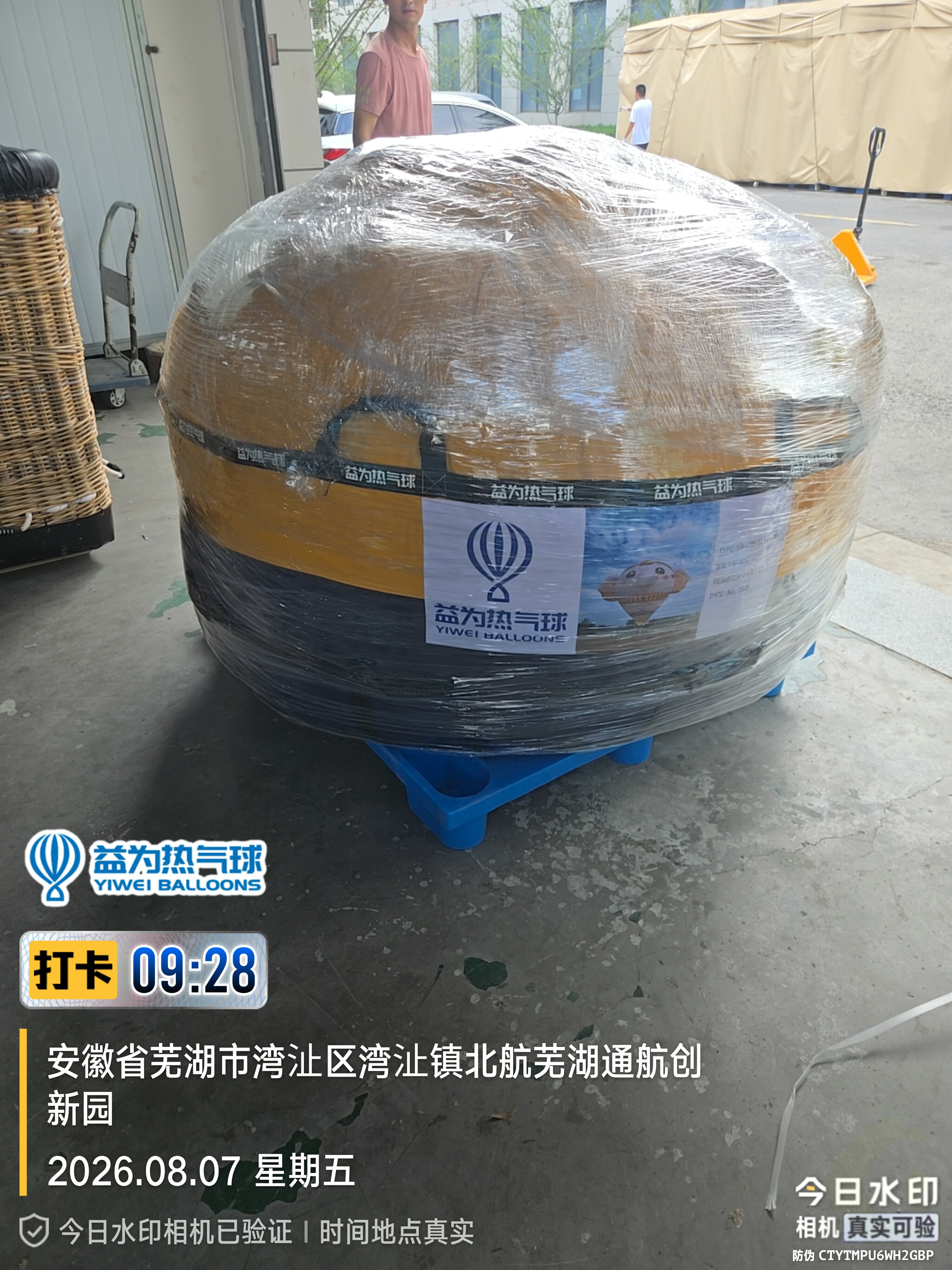 Elephant Shaped Balloon Packed - Protective Wrapping on Pallet Yiwei Balloons elephant shaped balloon packed and wrapped in protective plastic - large round package with company label on blue pallet