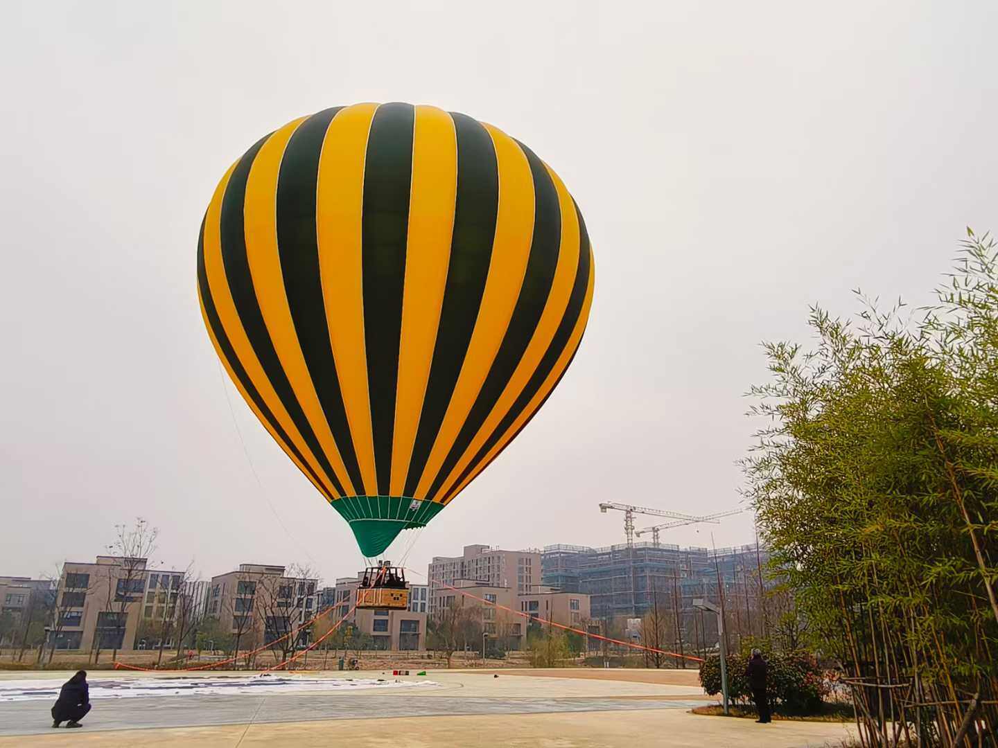 Yellow Black Striped Manned Hot Air Balloon - Manned Hot-Air Balloons by Yiwei Balloons - Yellow and black striped manned hot air balloon with green base being prepared for tethered flight at urban park.