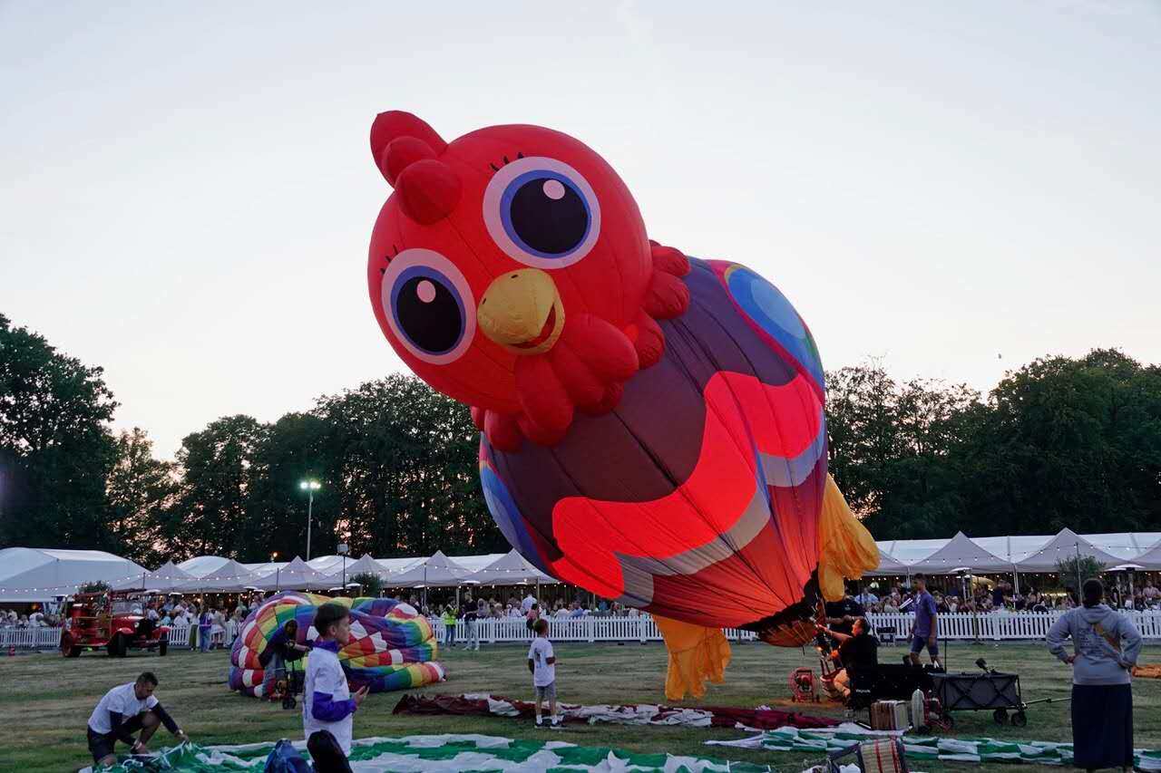Rooster RC Balloon Inflated at Event - Red Owl Design Yiwei Balloons rooster shaped RC balloon inflated at outdoor event - large red owl-shaped balloon with colorful design being prepared for flight