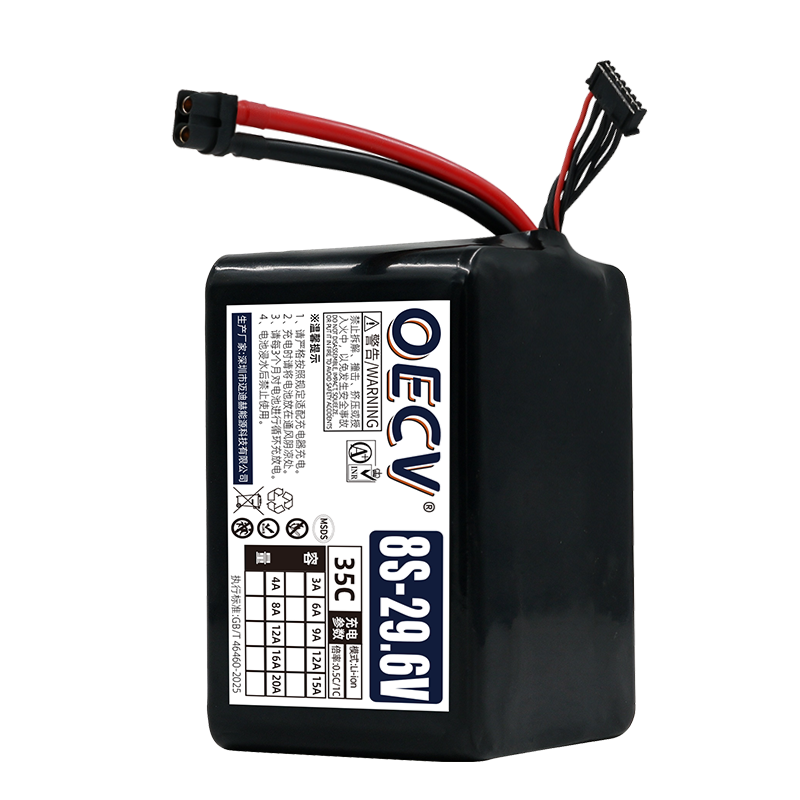 8S5P 20Ah Battery Pack