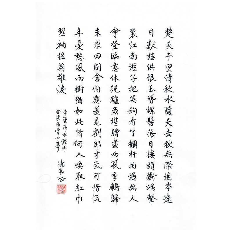《水龙吟 · 登建康赏心亭》