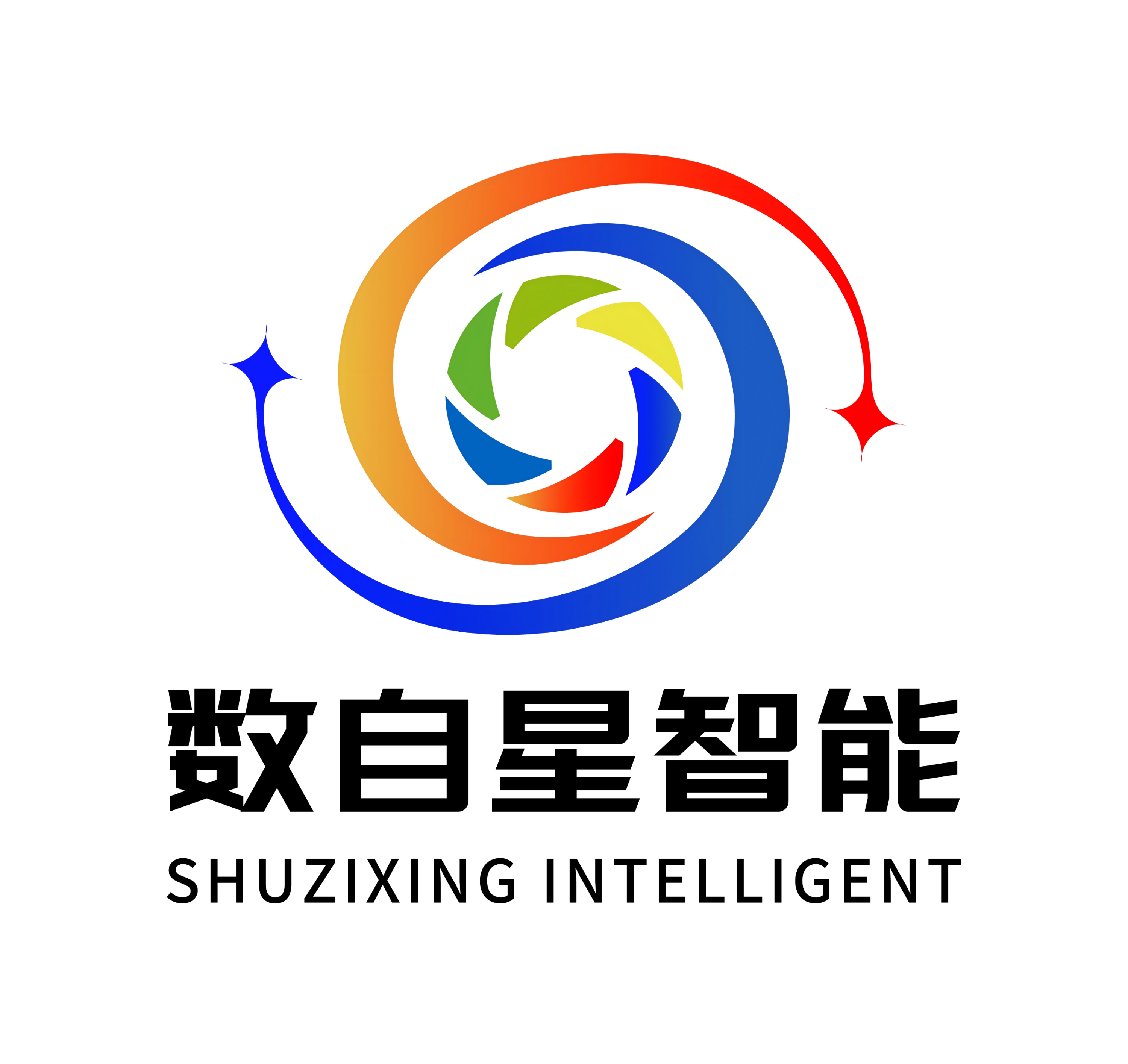 数自星智能科技 Logo