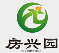 移动电视