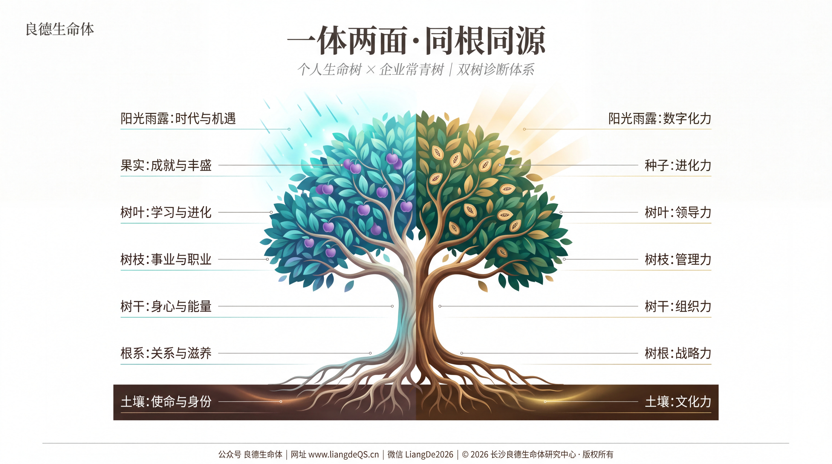 一体两面·同根同源 - 个人生命树与企业常青树