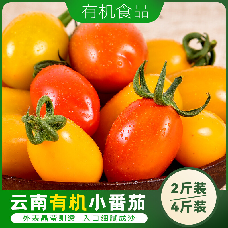云南有机小番茄